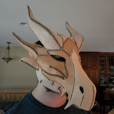 DragonsTyr52@meow.social