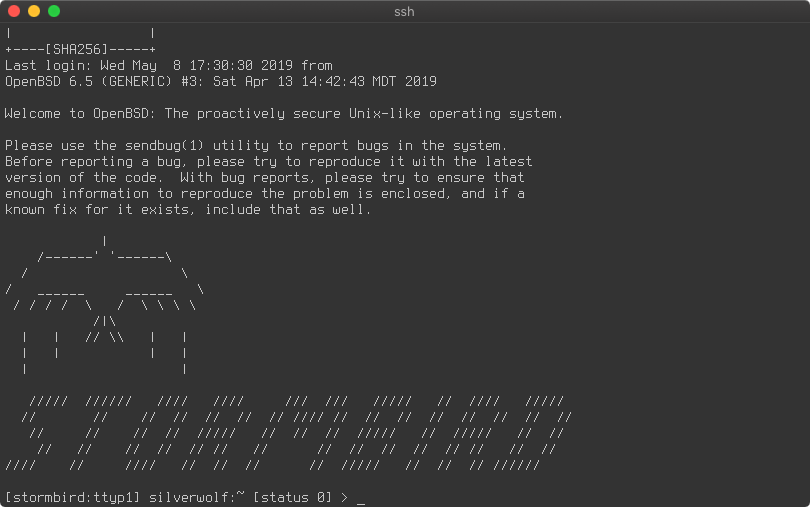 My test server's MOTD, featuring a fancy flying bird logo and the word "STORMBIRD" written underneath in italic ASCII-art text (that part is nothing fancy)